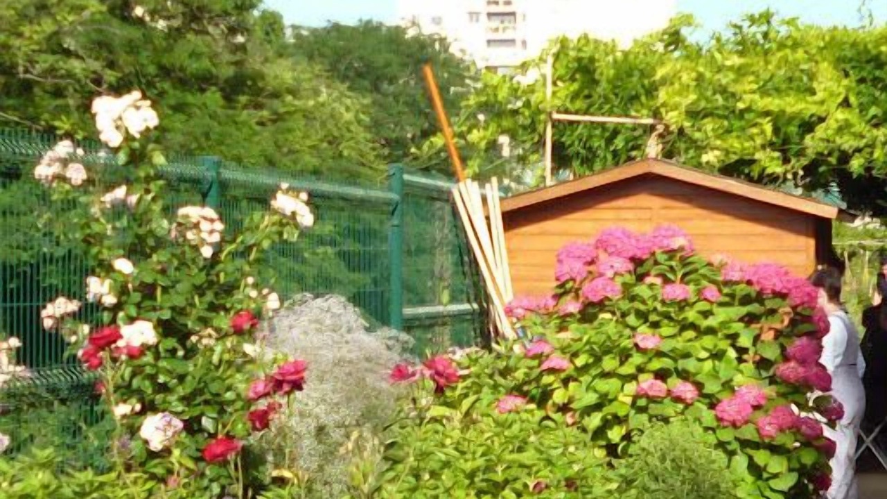 Photo of Outdoor in Plaisance