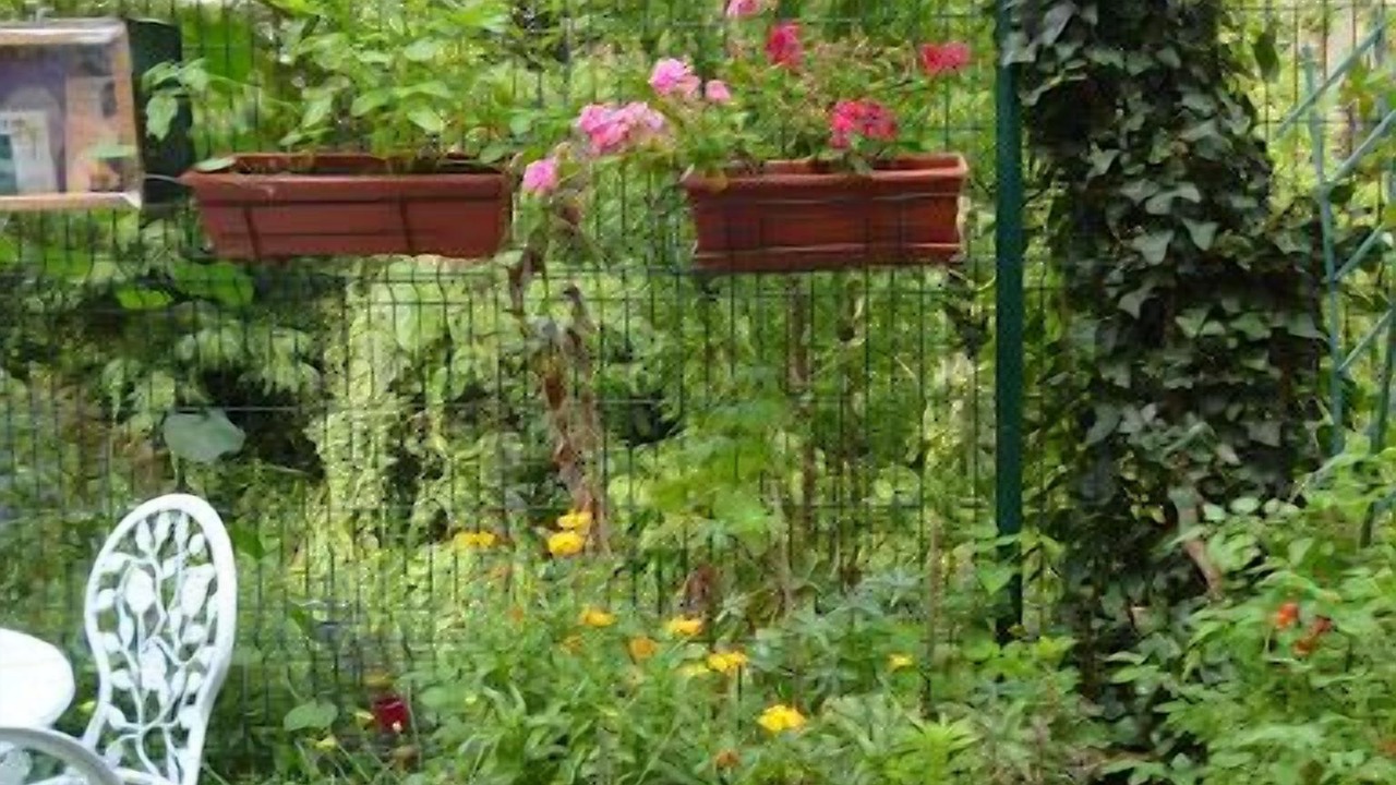 Photo of Outdoor in Plaisance