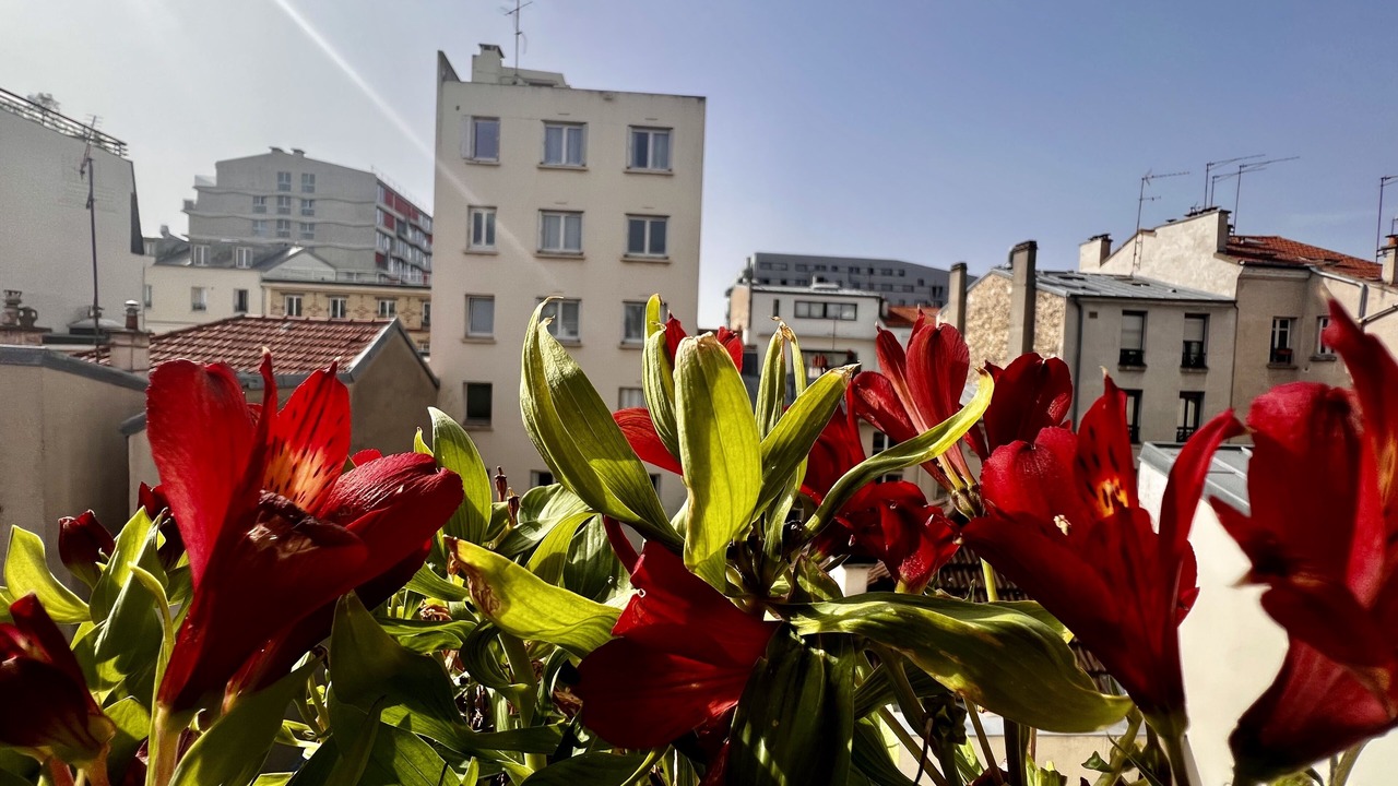 Photo of Outdoor in Parc-de-Montsouris