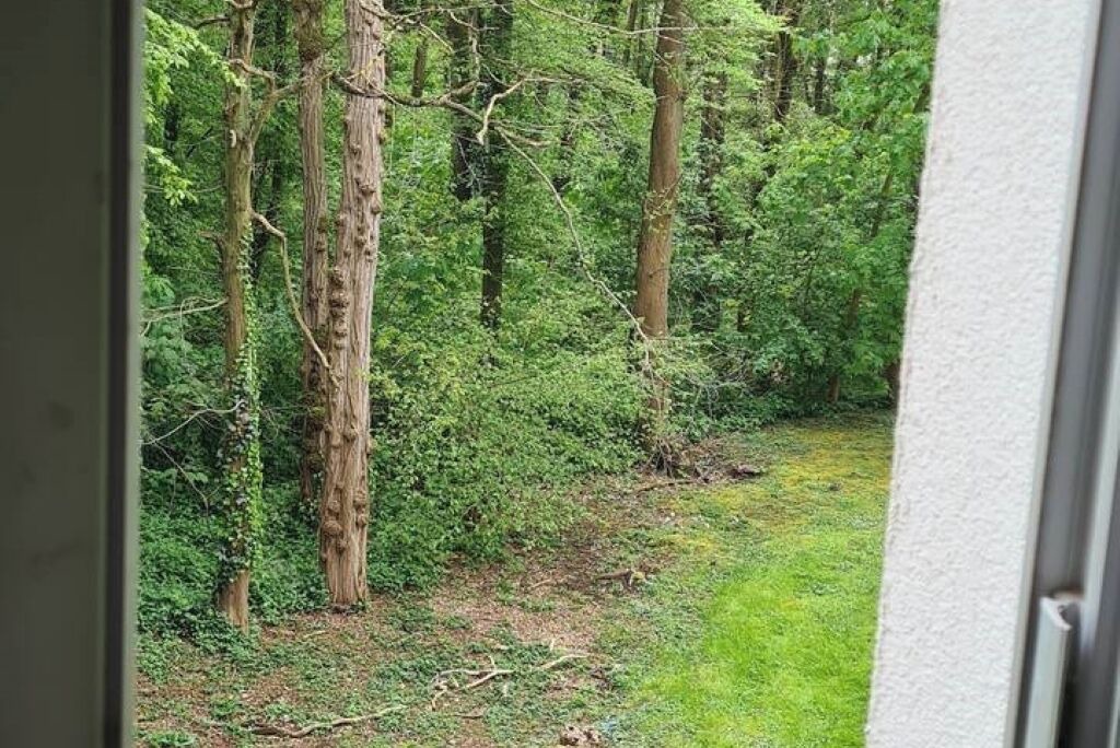 Photo of Others in Champs-sur-Marne