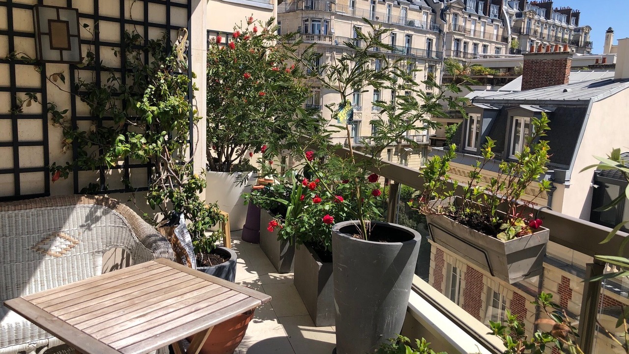 Photo of Outdoor in 16th Arrondissement