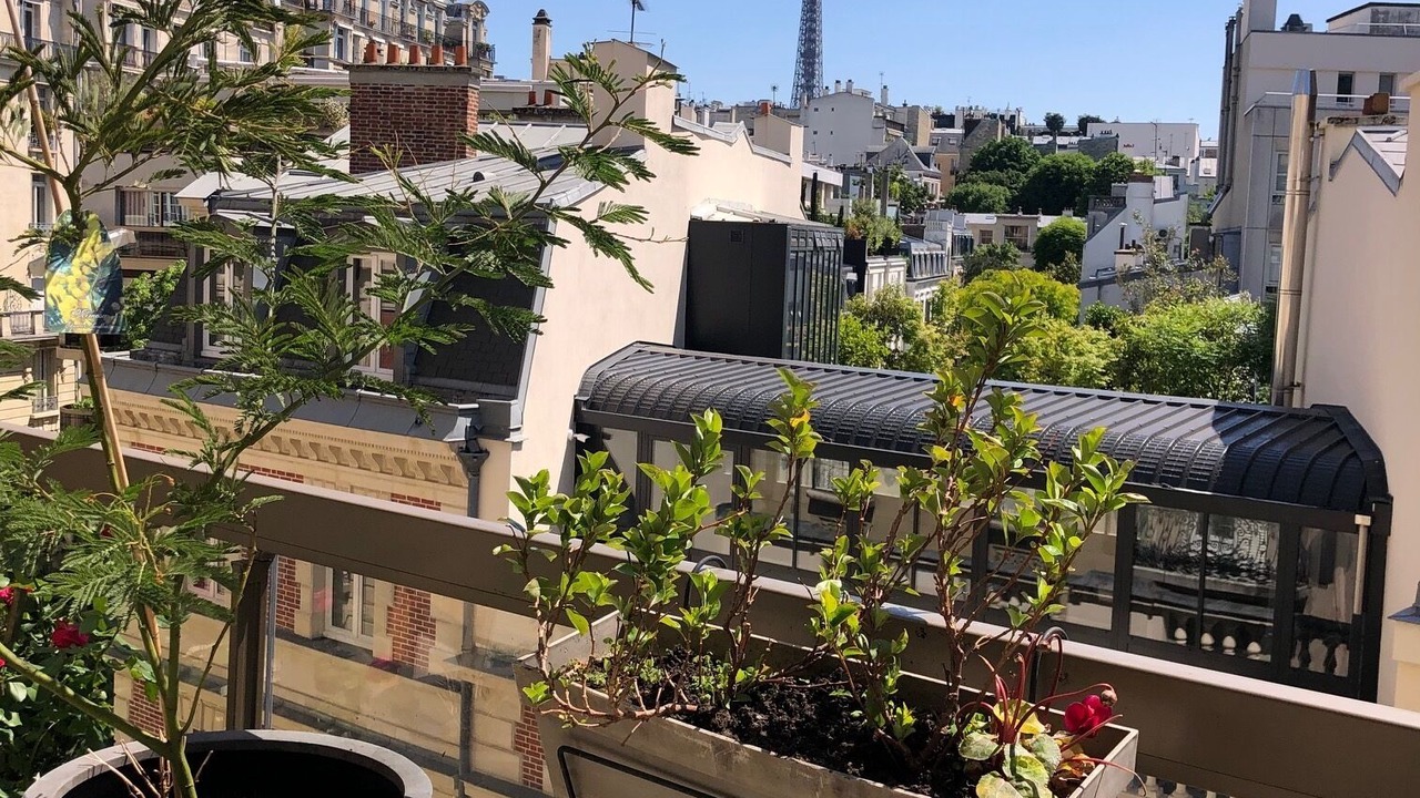 Photo of Outdoor in 16th Arrondissement