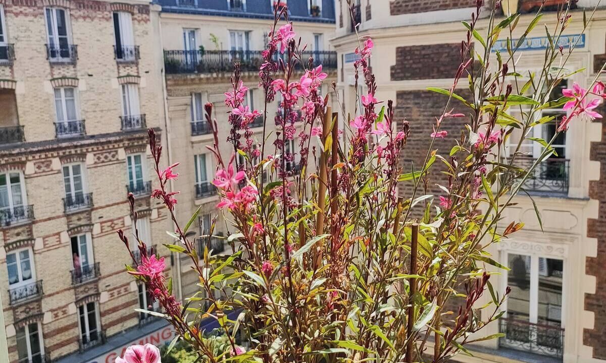 Photo of Outdoor in Bercy
