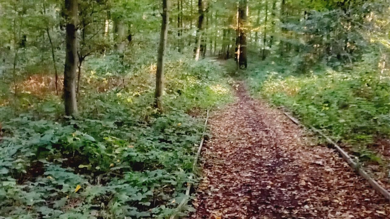 Photo of Others in Tremblay-en-France