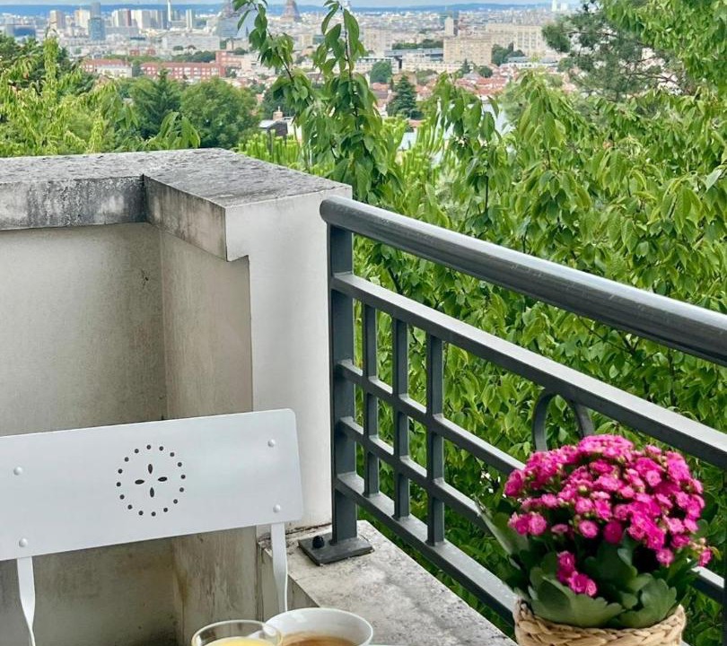 Photo of Patio Balcony in Chatillon