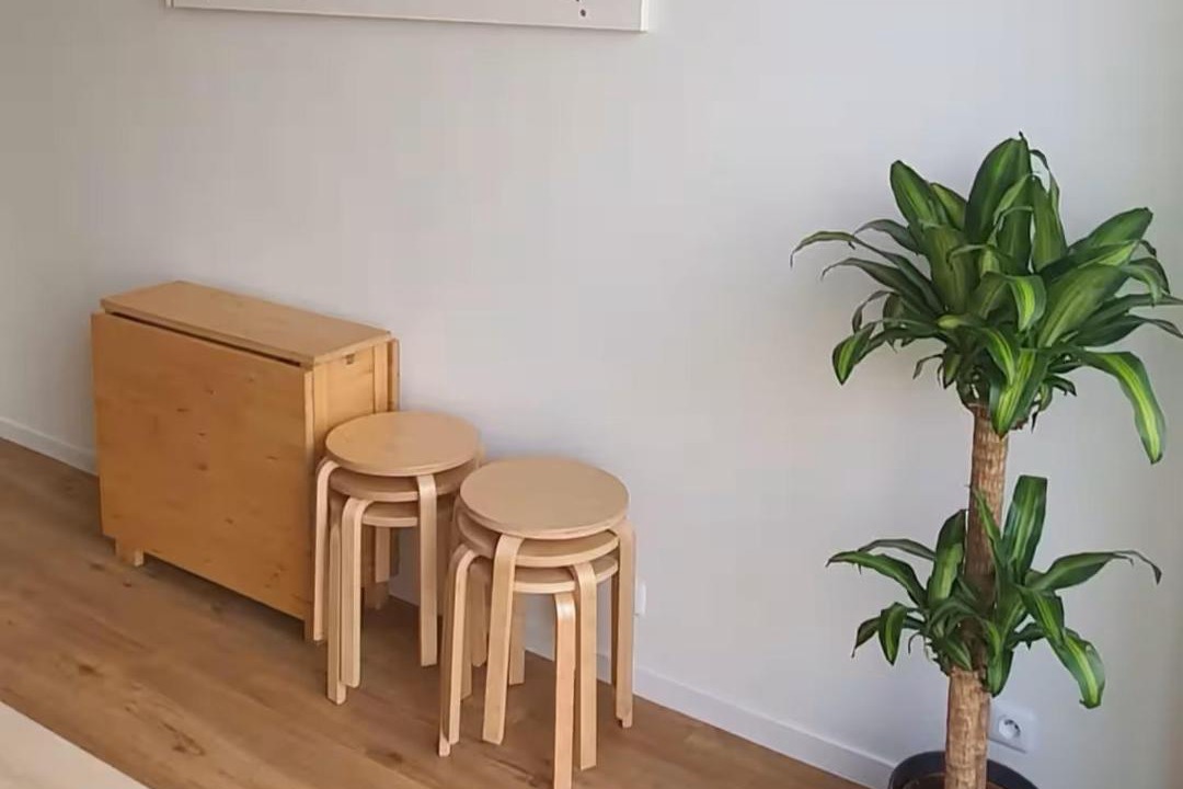 Photo of Livingroom in 15th Arrondissement