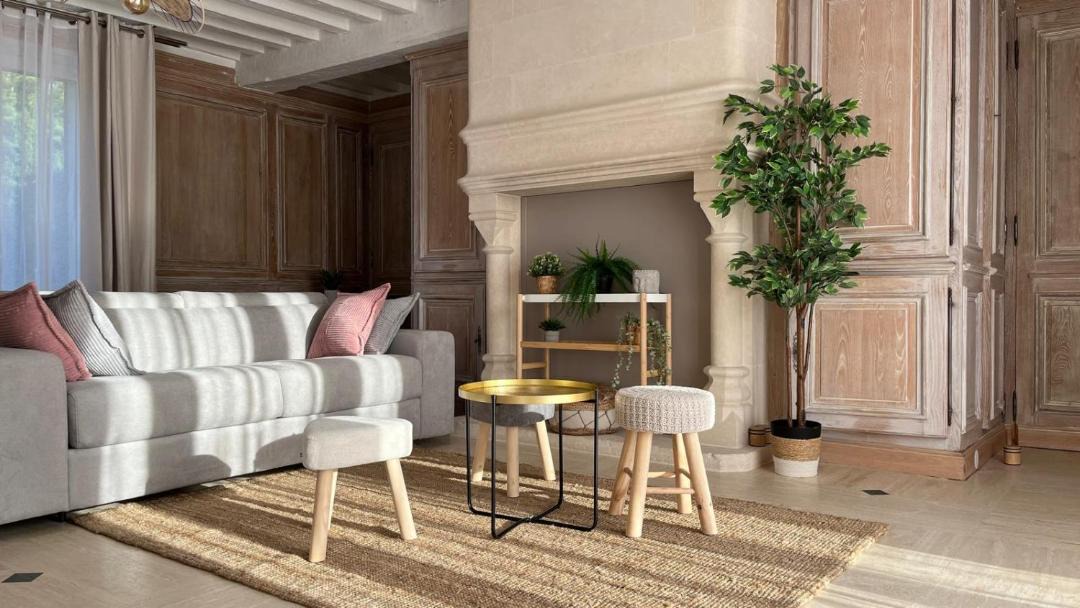 Photo of Livingroom in Villevaude