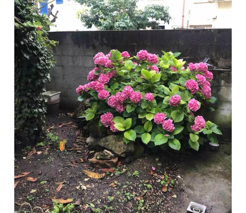 Photo of Outdoor in Bonneuil-sur-Marne