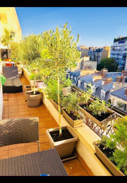 Photo of Patio Balcony in 16th Arrondissement