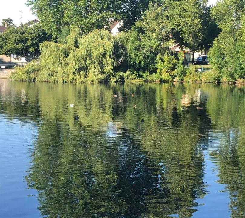 Photo of Others in Livry-Gargan