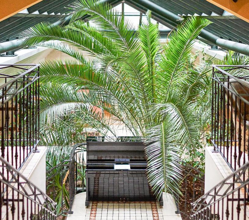 Photo of Patio Balcony in Archives