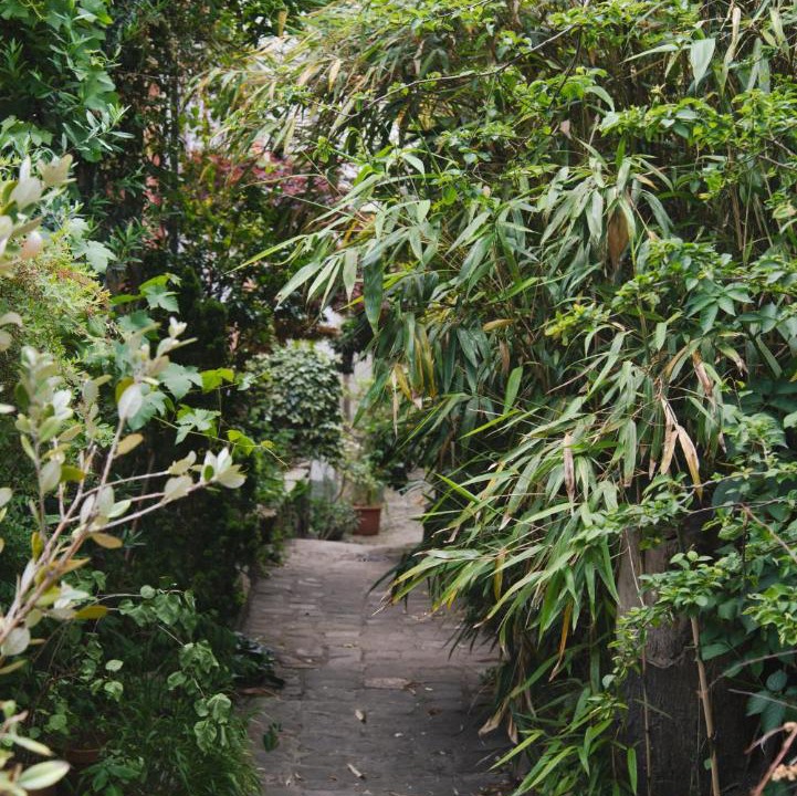 Photo of Outdoor in Belleville