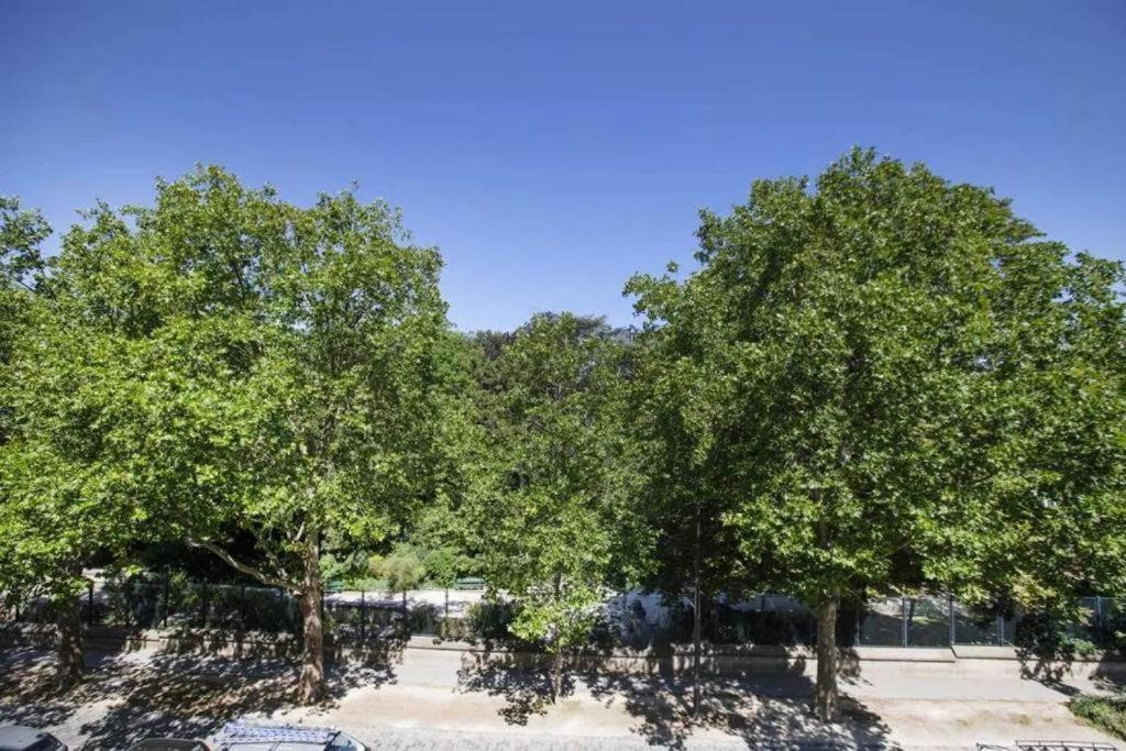 Photo of Others in Croulebarbe